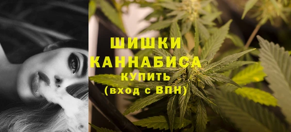 амф Лабытнанги