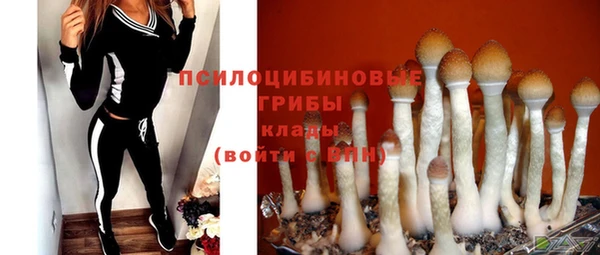 MDMA Premium VHQ Ладушкин