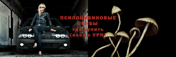 амф Лабытнанги
