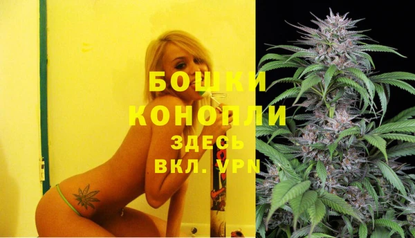 первитин Лагань