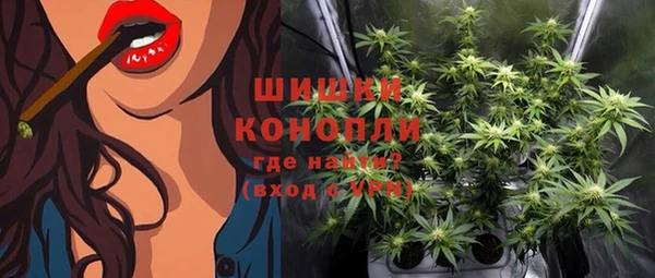 амф Лабытнанги