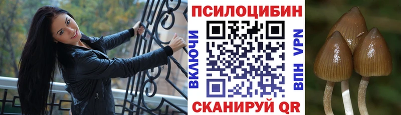это официальный сайт  Сычёвка  Галлюциногенные грибы GOLDEN TEACHER  наркотики 